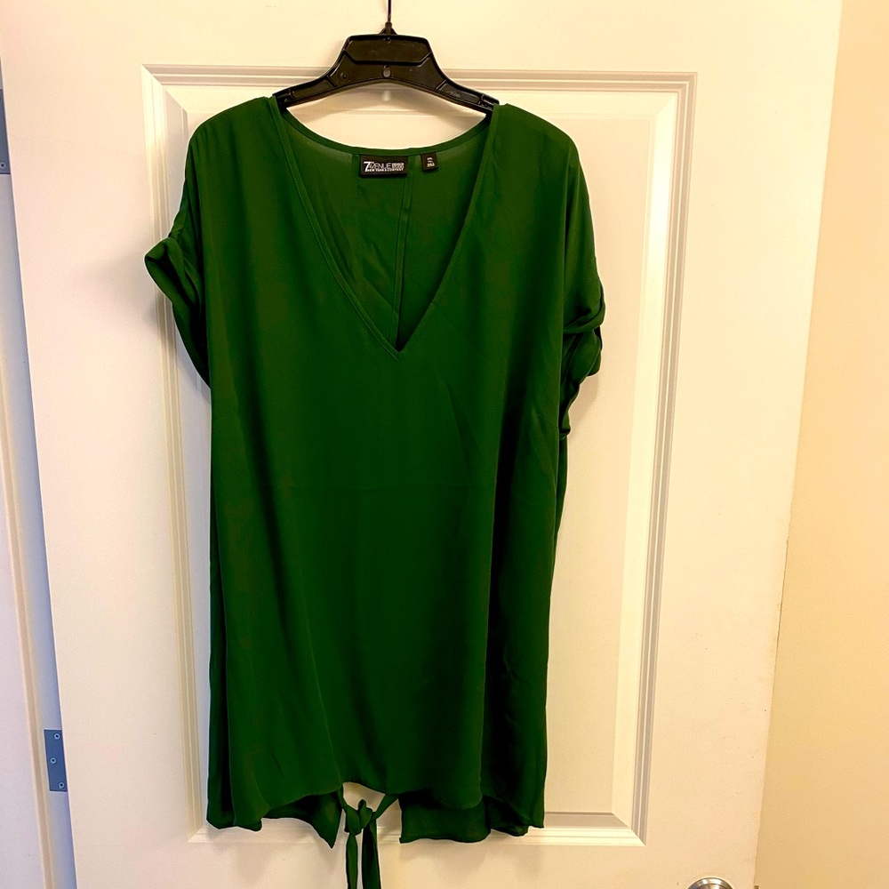 Short sleeve V neck tunic (same shirt)